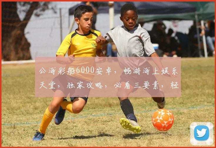 公海彩船6000安卓，畅游海上娱乐天堂，独家攻略，必看三要素，轻松赢大奖